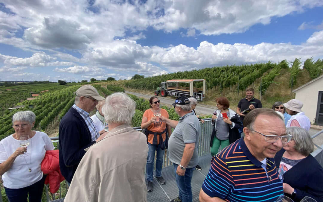 Weinerlebnis-Tour mit dem Planwagen durch die Weinberge